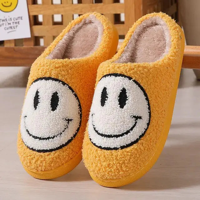 Funny Cute Winter Warm Floor House Home Shoes Female