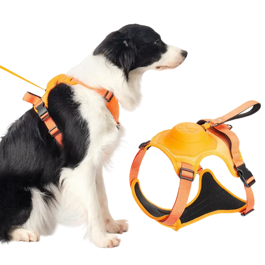 Comfy Walk Harness And Leash